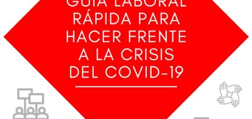 thumbnail of Guia laboral rapida para hacer frente a la crisis del COVID Burgos