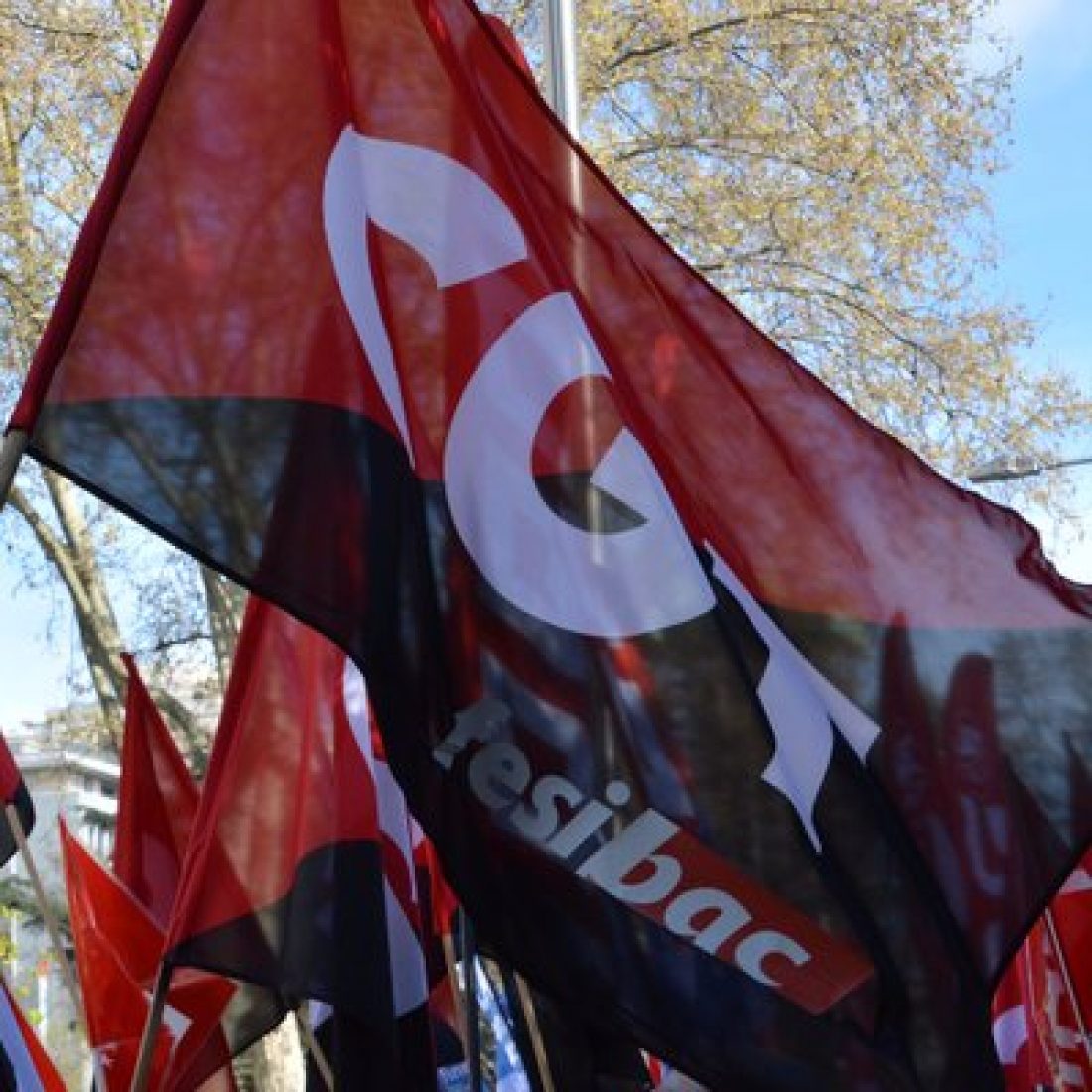 Banderas FESIBAC